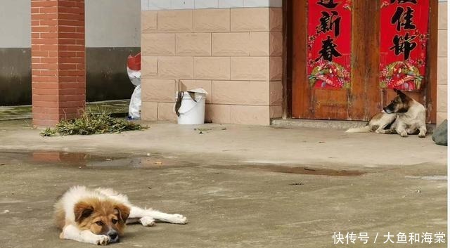 日记|网警抗洪日记——在中间