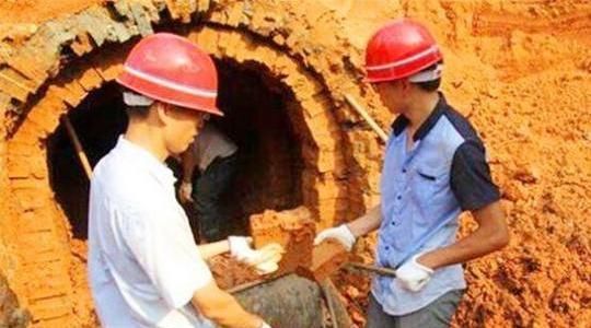  盖新房|父子翻盖新房挖出一只“猪”，主动上交，考古学家：全球仅此一头