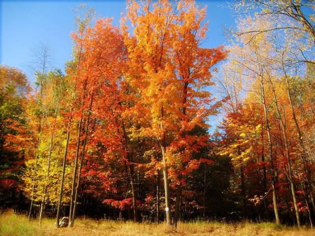  秋景|这一组迷人秋景，美爆了朋友圈！
