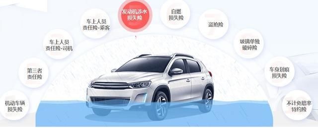  人或管理人|“黑格比”走了，被砸、被淹的汽车怎么办？