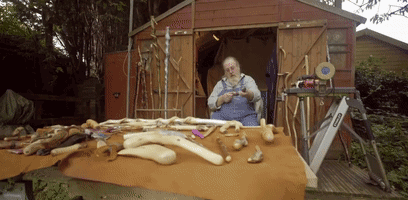  魔法|哈利波特40岁了，我才走进现实中的魔法世界