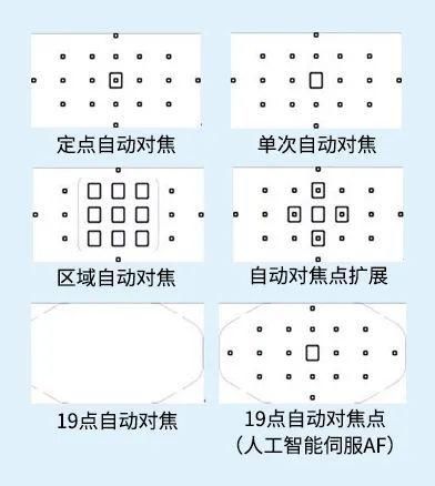  模特|【摄影讲评】顺光、侧光、逆光怎么用 第1268讲？
