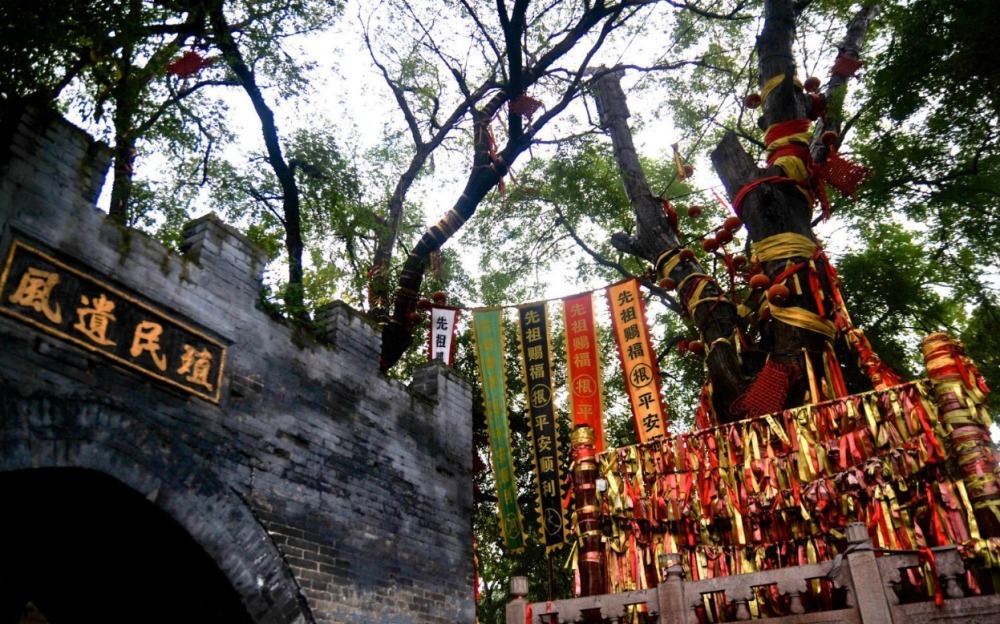 来源|“500年前是一家”的历史来源,百万人被迫迁徙的悲壮岁月