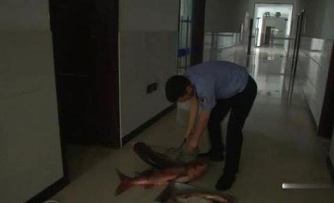 落网|5人捕捞，2名司机，丹阳7名非法捕鱼者落网