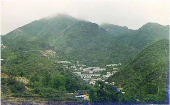 董事长|刷屏了!紫金矿业63岁董事长娶38岁妻子,新娘:嫁给了爱情!