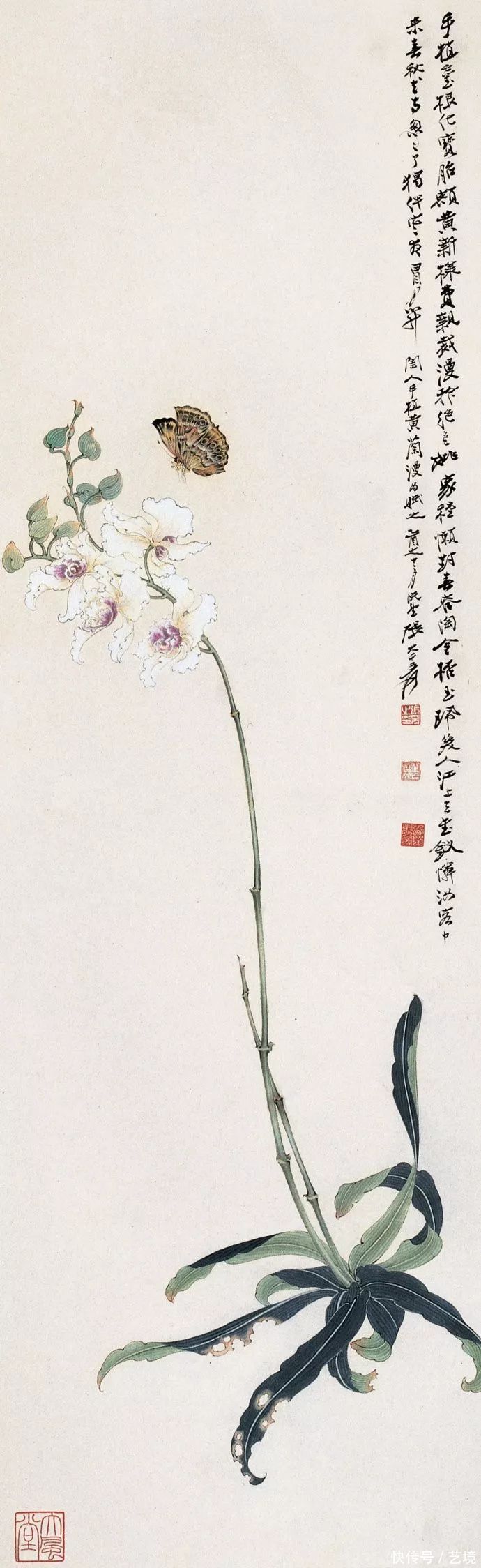 张大千花鸟画欣赏（100幅）