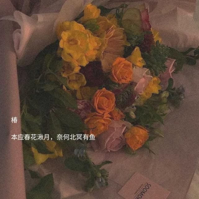  顺风|具有寓意的古风网名·小众文案:说不定随心所欲的生活更顺风顺水呢