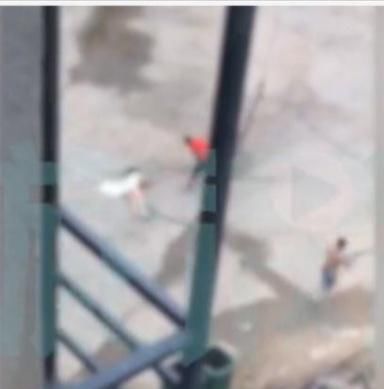  角落|如果不是太贪心，“隐密的角落”不会再现，人性泯于贪婪愿警醒