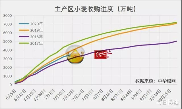 上涨|小麦价格继续上涨 全球最大面粉企业五得利变相涨价锁粮源