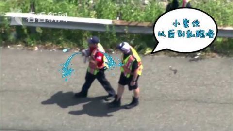  追逐|两车相撞宠物狗逃窜 高速上演“人狗追逐大战”