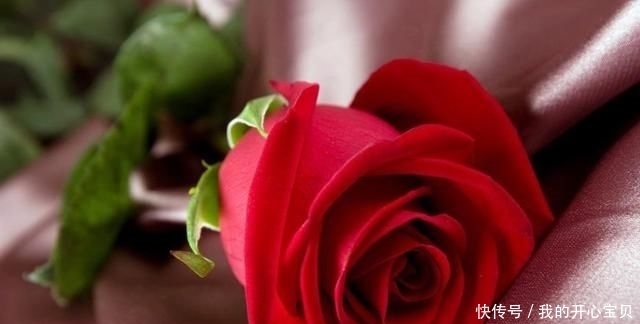 儿女|一个人一生中,有父母的痛苦,有爱人的陪伴,有儿女的孝顺,有知己的理解,就足够了