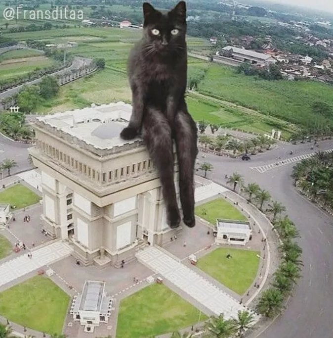  哥斯拉|要是小猫咪突然变成了庞然大物，这个世界会是什么样的