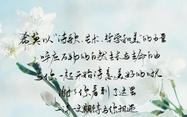 深度|爱从不知晓自己的深度,直到别离的时刻