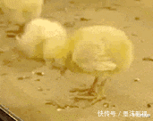 破车|“凭什么男人管20w的车叫破车，给女方20w的彩礼就喊天价？”