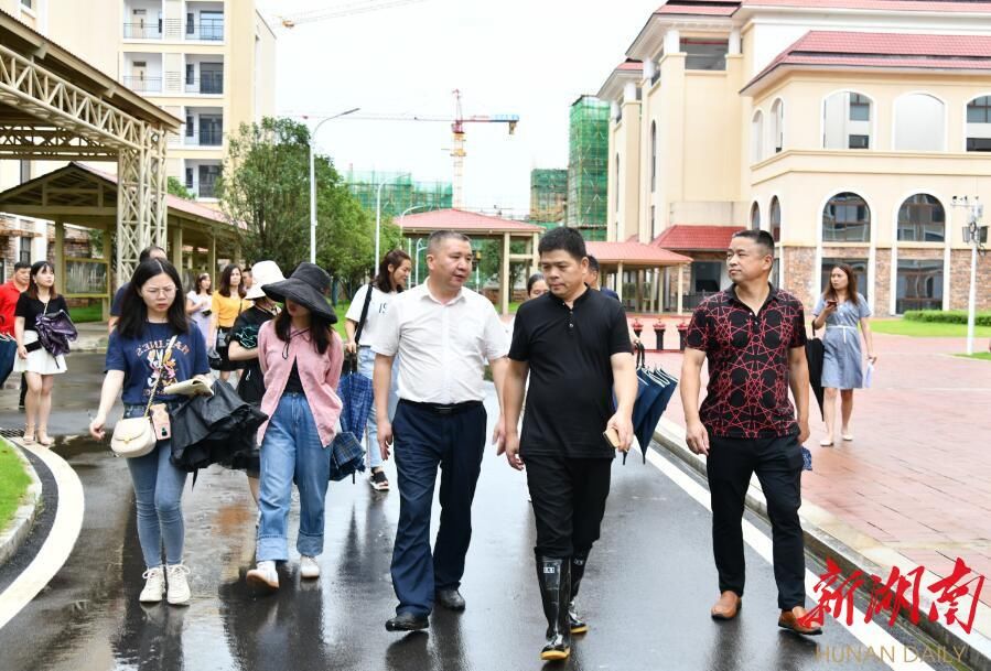  前景|长岳协同看湘阴（1）|| 青青园中葵，朝露待日晞。湘阴教育前景可期