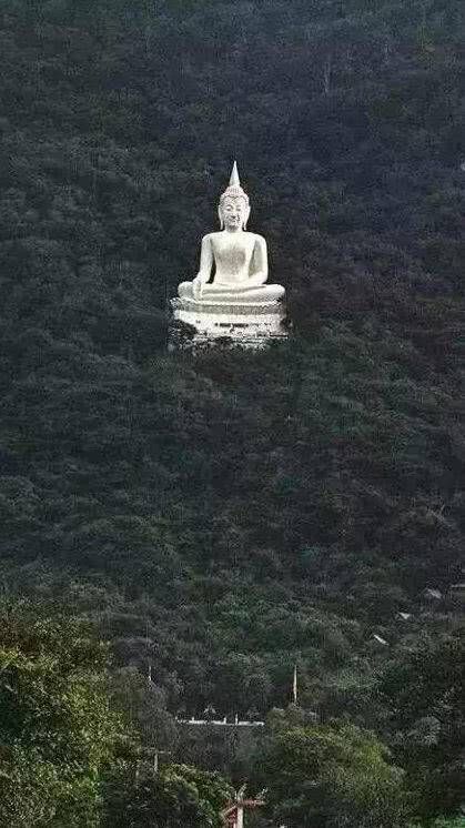 苍蝇|苍蝇不能飞进闭着的嘴巴里！是谁写的大智慧