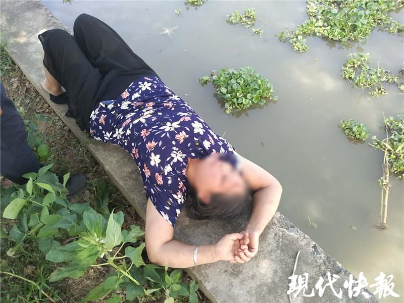  树下|女子跳河众人苦寻四小时，发现她竟在两公里外的树下睡觉