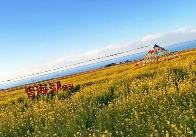 女人|旅行:曾经有一个女人,为我而去了西藏