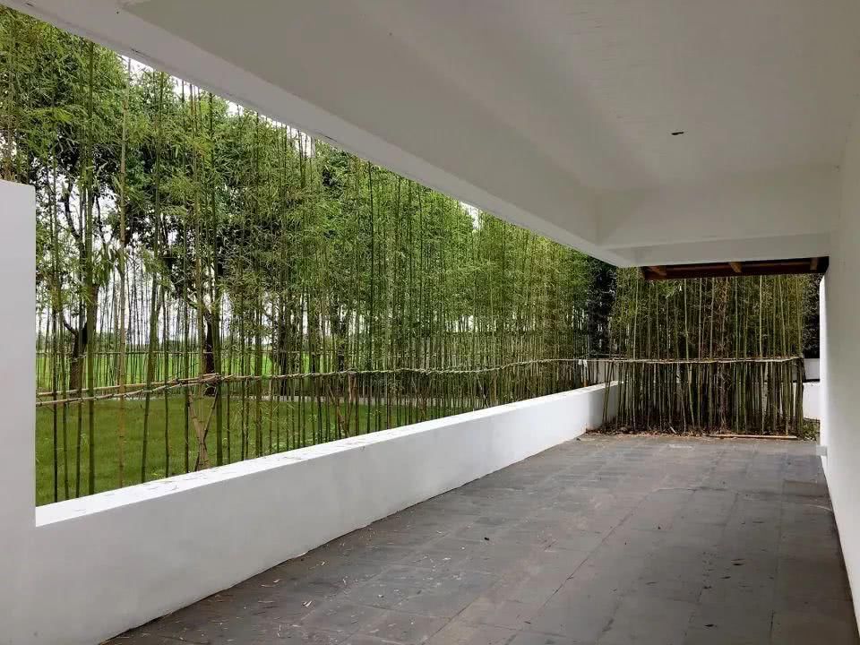  不落俗套|乡建如何不落俗套？15个最佳乡村建筑告诉你