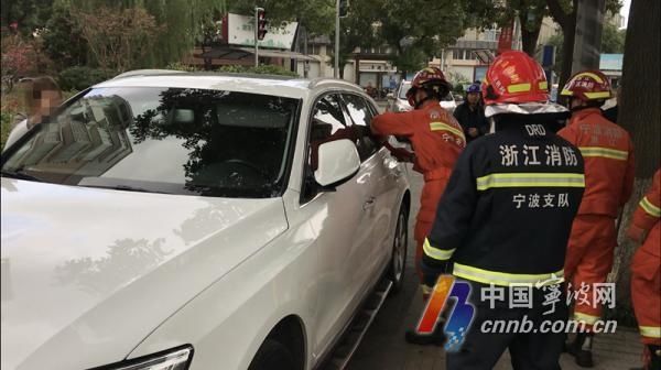 下不来|树上下不来、爬出窗外、车内被困…这3起出警都与孩子有关