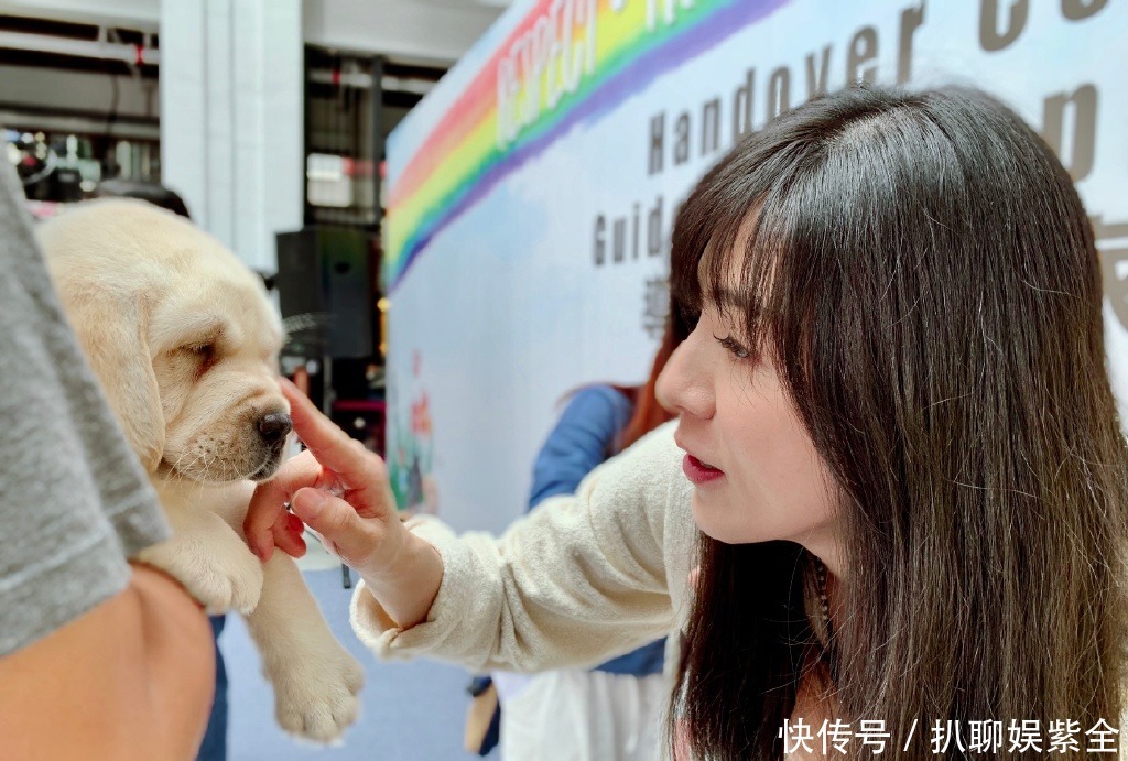  迟暮|美人不迟暮！杨采妮的图集