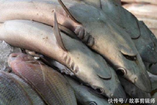 迪拜|看了迪拜菜市场后惊呆了,帝王蟹成地摊货,网友贫穷限制了想象