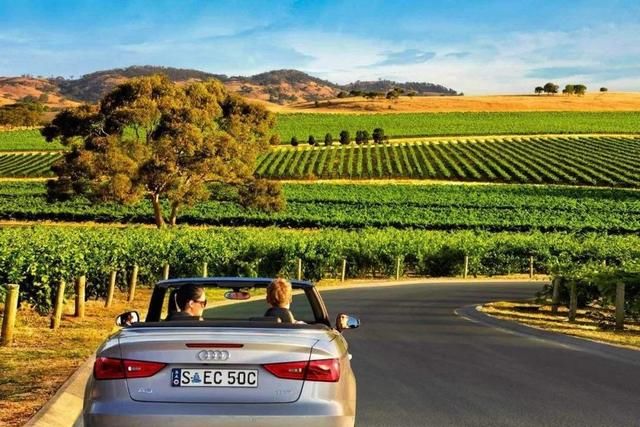  事故|熊孩子不分国界！南澳一12岁男孩开车出事故造成一死一伤