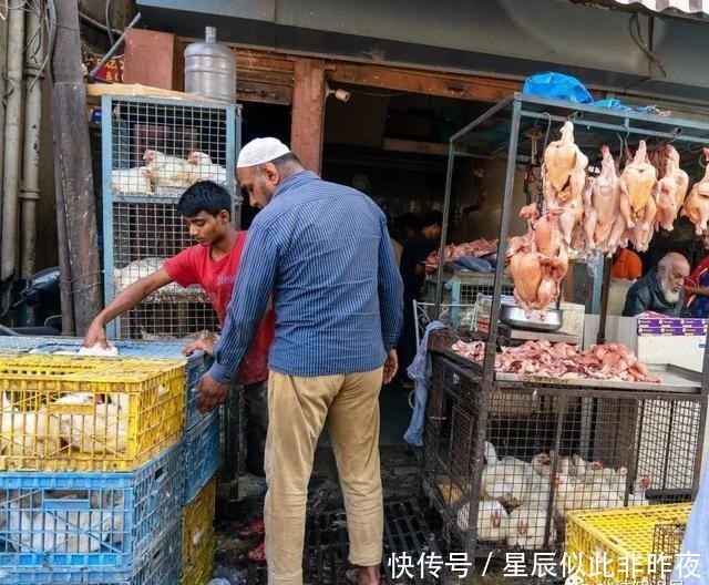 到底|印度，到底让不让吃牛肉？｜地球知识局