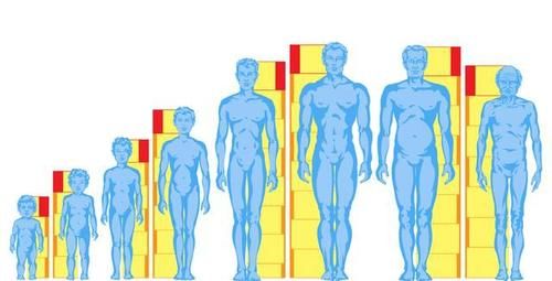  脂肪细胞|哪个年龄阶段容易瘦？人一生中5个阶段，第3个阶段减肥最痛苦