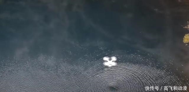 无人机|iPhone掉进滚烫的泉水后录下了令人费解的内容!