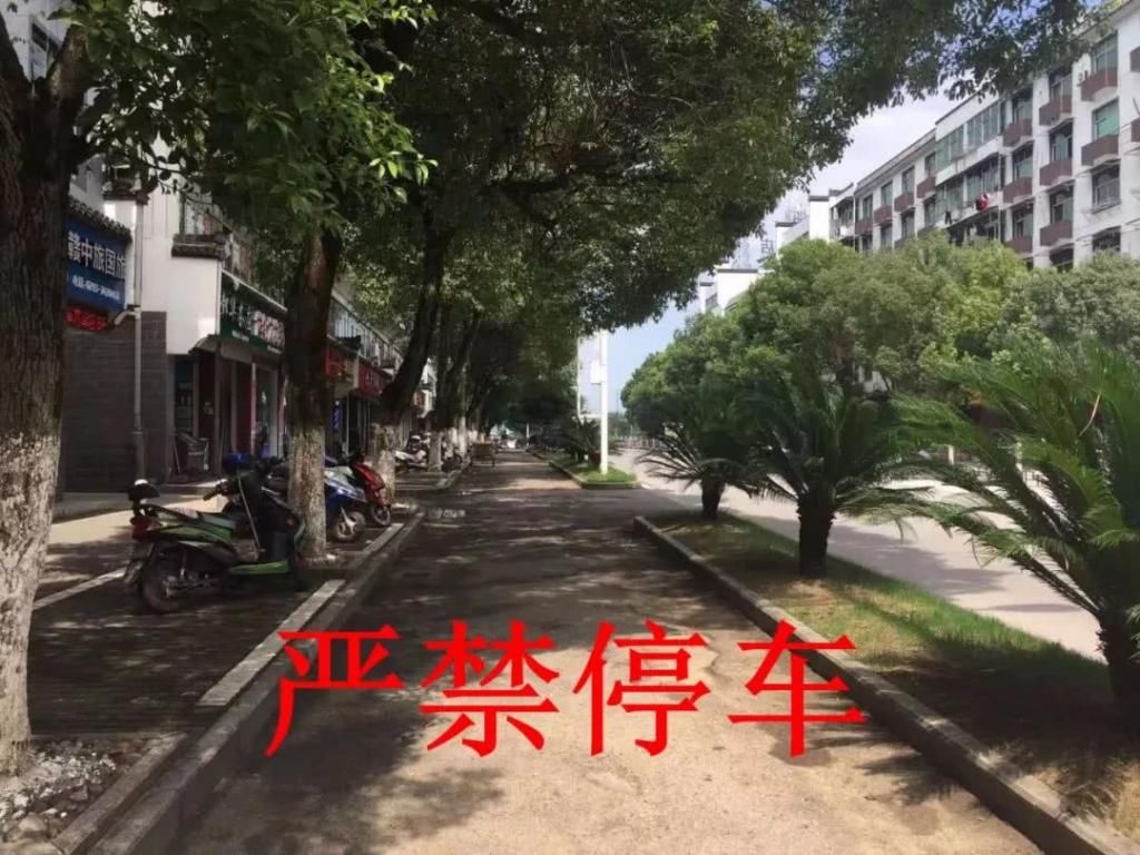 依法|【双创进行时】婺源交警再次提醒您：请依法文明停车！