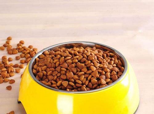  拉水|三个月拉布拉多拉水便