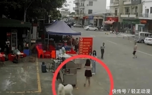  身亡|被狗绳绊倒，老人腾空面朝下摔地后身亡，目击者：狗主人已被控制