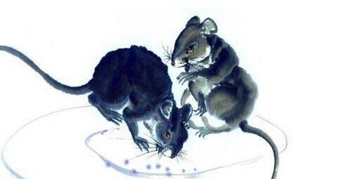 钱财|8月开始,钱财滚滚到,求财顺遂,吉星报喜,3生肖必能实现发财梦