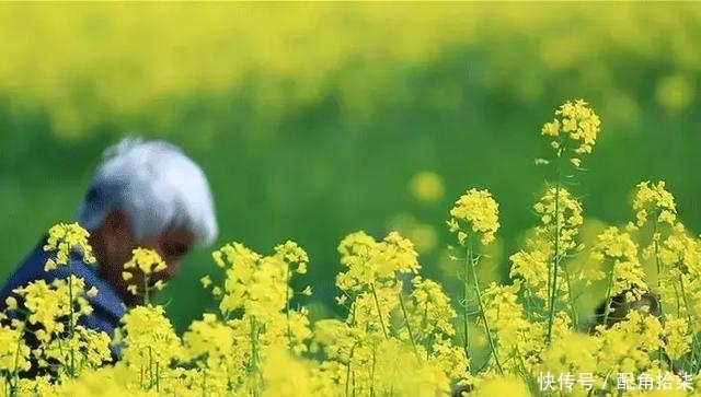  祖先|清明为什么要祭祖？这是我听过最好的答案