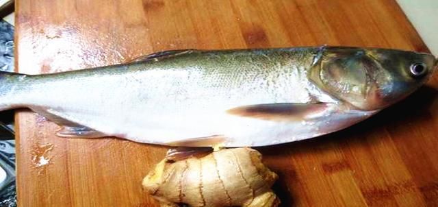  步目|白鲢鱼你吃过吗？这种做法简单，麻辣脆爽，外焦里嫩