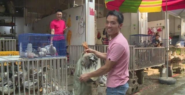 农历七|鸭鸭今天“爆红”环江！中元节你吃什么“鸭”？