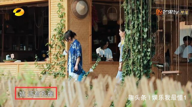 待遇|《向往》待遇最好新人,节目组狂给镜头,看她对周迅的称呼明白了