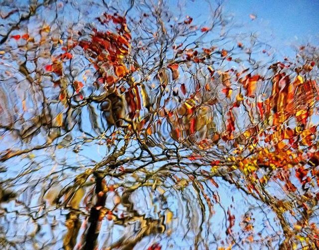  遐想|【视觉影像】津门网陈盈国：《界》遐想摄影展