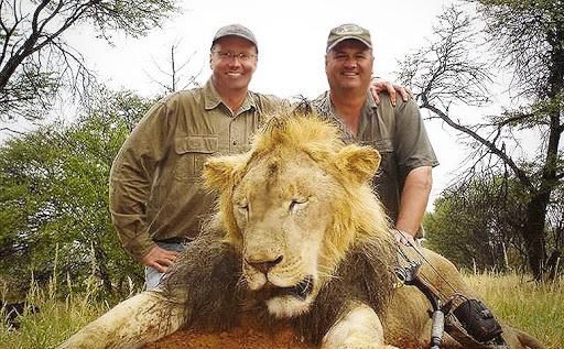  合法|有钱人花上33万，就可以在加拿大合法杀死一只北极熊