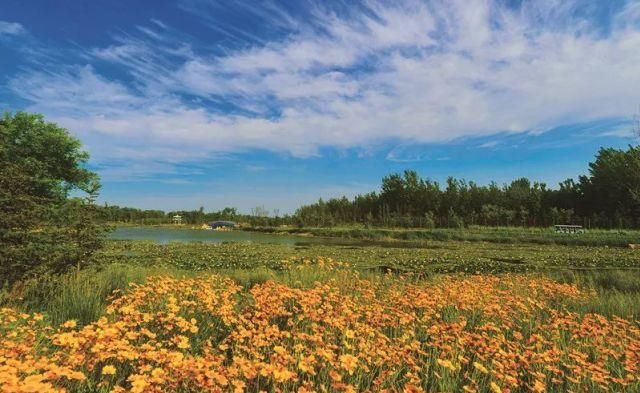 身份证|这些景区凭身份证就能进，你知道吗？