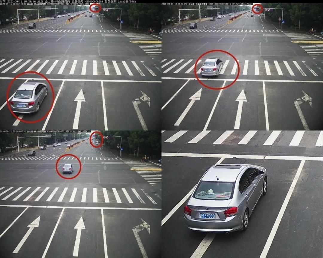 驾驶机动车违反道路|闯红灯、斑马线前不礼让行人，看看都有谁？