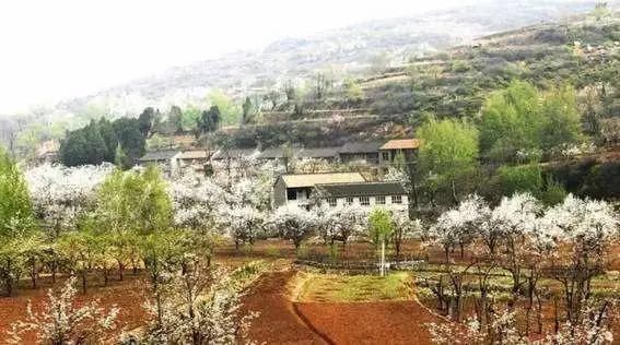  民警|妻子杀夫逃亡30年！年近古稀被捕，被害人竟被藏在……