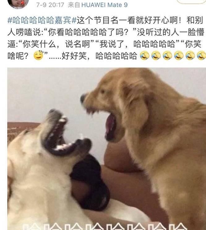  鹿晗|新综艺邓超、鹿晗、陈赫亮相，还有两位神秘嘉宾会是谁呢？