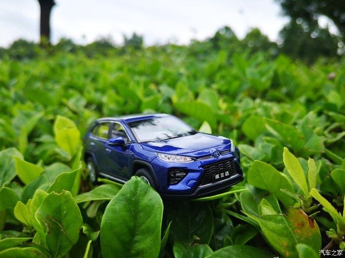 拍摄|拥有威兰达车模,绽放花丛中,说说感受