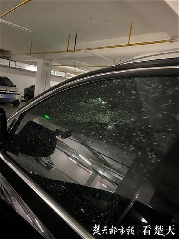  人砸碎|一夜之间，地下停车场内16辆小车被砸车窗