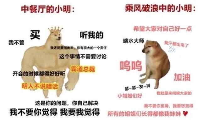 关注|《乘风破浪的姐姐》爆了 他们的牙齿又有谁关注到