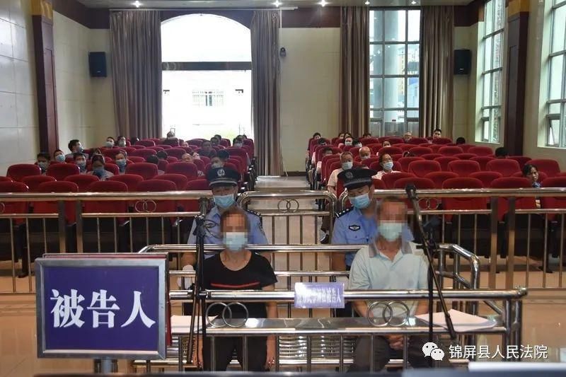 获刑|锦屏首例生产销售有毒有害食品获刑，并判惩罚性赔偿13万