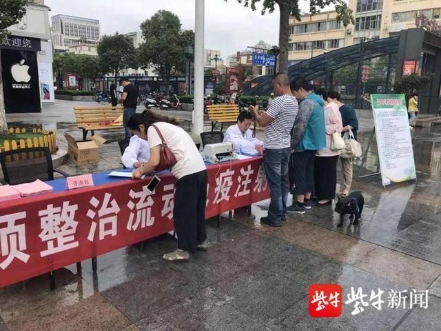 盐城|向不文明养犬说“不”！盐城开展养犬专项整治行动