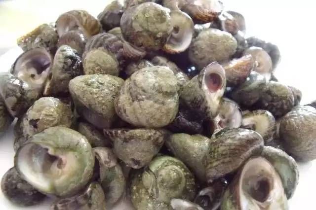  海鲜|长乐：海鲜的世界，吃货的天堂！